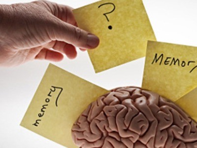 Những bí mật về trí nhớ Những bí mật về trí nhớ