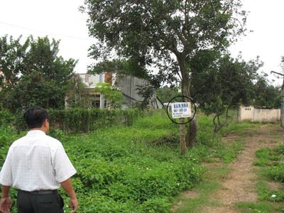Kiểm tra việc sốt giá đất báo cáo Quốc hội Kiểm tra việc sốt giá đất báo cáo Quốc hội