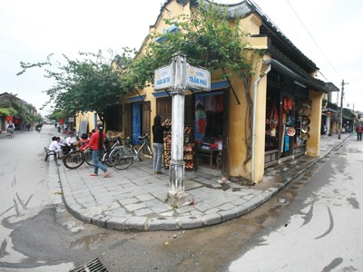 Trồng hoa phủ xanh di tích Trồng hoa phủ xanh di tích