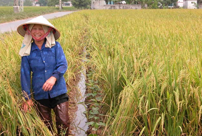 Sau kỷ lục sẽ gặp khó Sau kỷ lục sẽ gặp khó