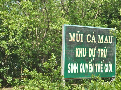 Vườn quốc gia Mũi Cà Mau nhận danh hiệu khu Ramsar Vườn quốc gia Mũi Cà Mau nhận danh hiệu khu Ramsar