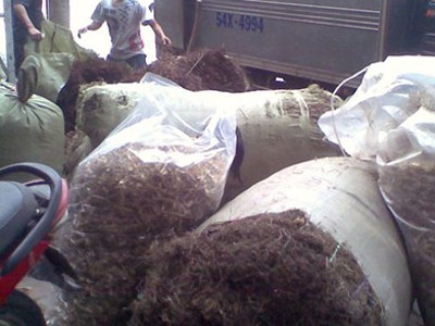 Tràn lan dược liệu Trung Quốc trộn thuốc sâu Tràn lan dược liệu Trung Quốc trộn thuốc sâu