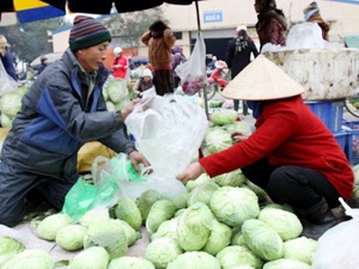 Thực phẩm, rau xanh đắt hàng do bão Thực phẩm, rau xanh đắt hàng do bão