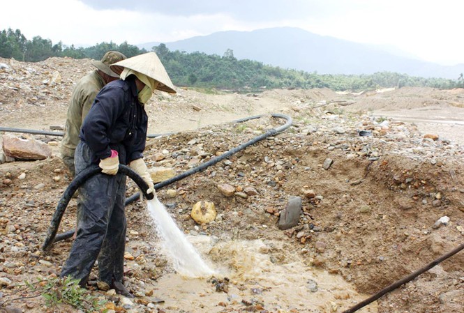 Bán đất sản xuất, nông dân thành phu vàng Bán đất, vợ chồng chị Phước phải mót vàng ngay trên đất sản xuất của chính mình. Ảnh: N. Cường