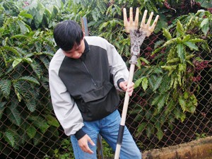 'Đã mua không trả lại' , làm hại nông dân 'Đã mua không trả lại' , làm hại nông dân