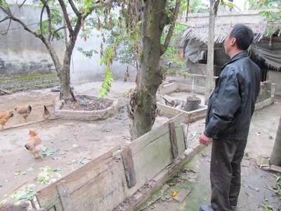 Lợi dụng ủy quyền để chiếm nhà, đất Lợi dụng ủy quyền để chiếm nhà, đất