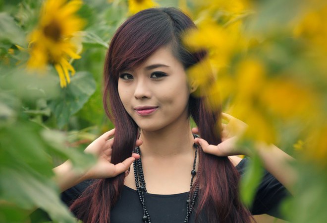 Nữ sinh Công nghiệp bay bổng giữa đồng hoa hướng dương Nữ sinh Công nghiệp bay bổng giữa đồng hoa hướng dương