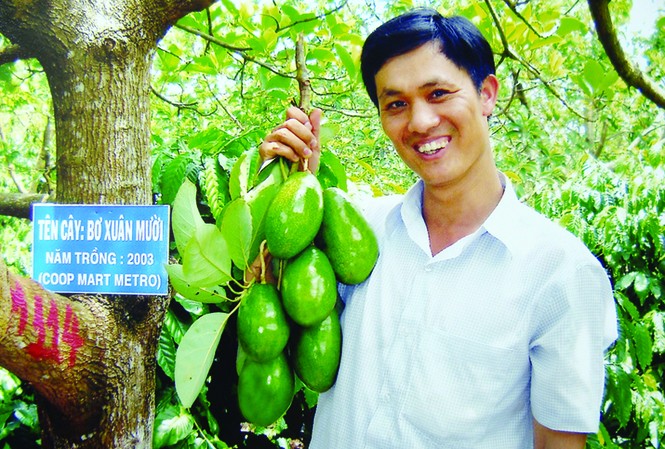Chuyện tỷ phú Mười Bơ Trịnh Xuân Mười với chùm bơ thương hiệu Trịnh Mười