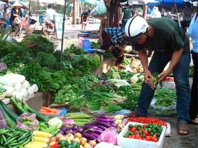 Rau quá đắt, dân Hà Nội liều mạng ăn rau Trung Quốc Rau quá đắt, dân Hà Nội liều mạng ăn rau Trung Quốc