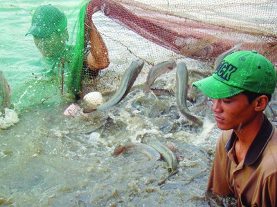 Chờ công văn chống lũ, dân trắng tay Chờ công văn chống lũ, dân trắng tay