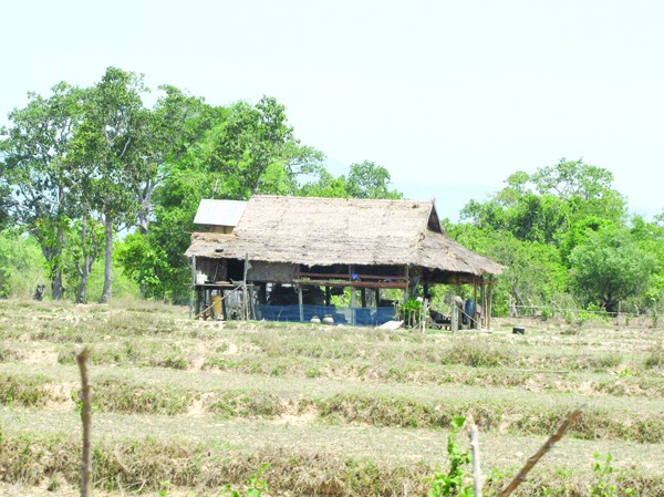 Lãng phí hàng trăm triệu đồng Nhiều vùng đất ở Đăk Pơ vẫn canh tác kém hiệu quả