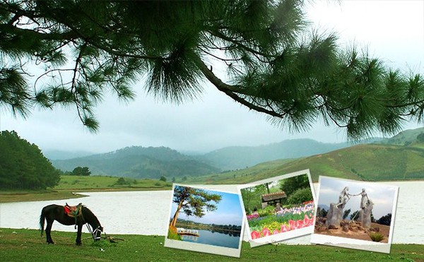 Cơ hội nhận tour trăng mật Đà Lạt miễn phí Cơ hội nhận tour trăng mật Đà Lạt miễn phí