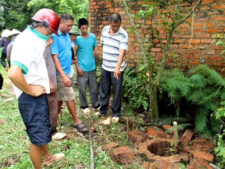 Nghi án bác hiếp, giết cháu gái 11 tuổi ném xuống giếng Nghi án bác hiếp, giết cháu gái 11 tuổi ném xuống giếng