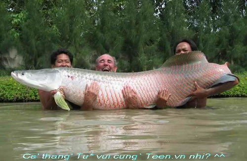 Muôn vẻ ngày cá tháng Tư trên Thế giới Muôn vẻ ngày cá tháng Tư trên Thế giới