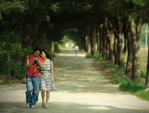 Nỗi nhớ mang tên anh… Nỗi nhớ mang tên anh…