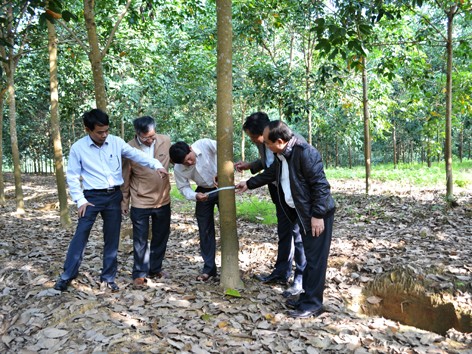 Không chạy theo diện tích Không chạy theo diện tích