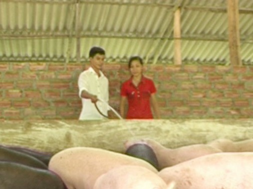 Bí quyết quay vòng của đại gia rừng xanh Lê Văn Bảy đang giới thiệu mô hình chăn nuôi lợn Ảnh: N.H