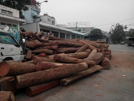 Bắt giữ hơn 40m3 gỗ không rõ nguồn gốc Bắt giữ hơn 40m3 gỗ không rõ nguồn gốc