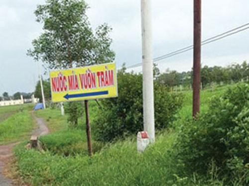 Teen trốn học đi 'chòi tình nhân' Teen trốn học đi 'chòi tình nhân'