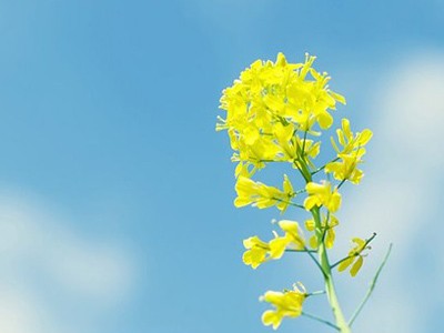 Thứ bảy của bạn (27-8) Thứ bảy của bạn (27-8)