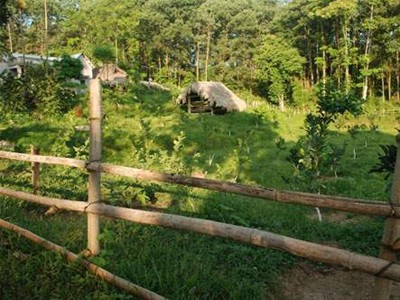 Thực hiện dự án lớn giao đất rừng cho dân Thực hiện dự án lớn giao đất rừng cho dân