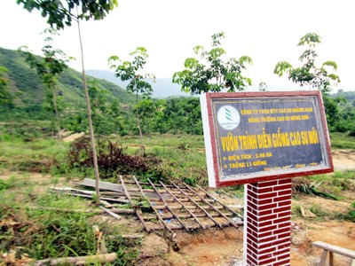 'Lá bùa' chủ trương 'Lá bùa' chủ trương