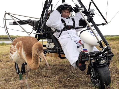 Tổng thống Nga Putin hủy công du vì ‘chấn thương’ Ông Putin từng mạo hiểm bay cùng đàn sếu