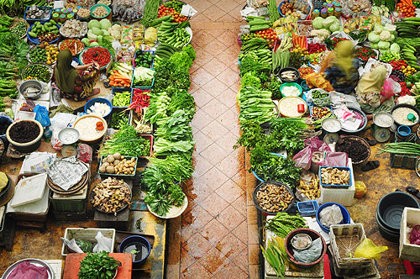 Táng tận lương tâm Táng tận lương tâm