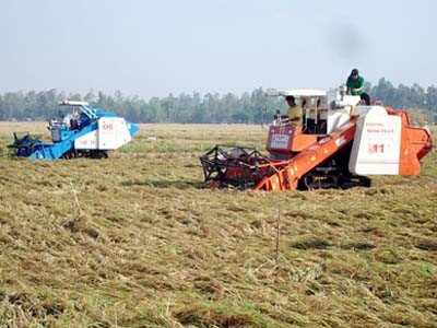 Sớm sửa đổi pháp luật về đất đai Sớm sửa đổi pháp luật về đất đai