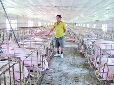 Người chăn nuôi đối mặt với lỗ Người chăn nuôi đối mặt với lỗ