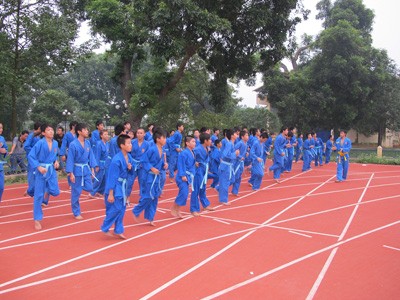 Cảm hóa học sinh cá biệt bằng võ đạo Cảm hóa học sinh cá biệt bằng võ đạo