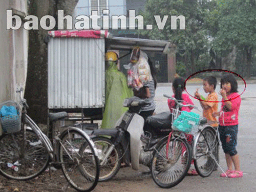 ‘Thịt hổ’ giá bèo bao vây trường học ‘Thịt hổ’ giá bèo bao vây trường học