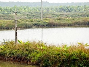 Quốc hội đề nghị Chính phủ báo cáo vụ Tiên Lãng Khu đầm của gia đình ông Đoàn Văn Vươn. (Nguồn: Chinhphu.vn)