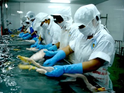 Hàng tết: Tăng lượng, giữ giá Hàng tết: Tăng lượng, giữ giá