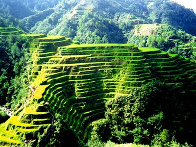 Những ruộng bậc thang châu Á hút khách du lịch Những ruộng bậc thang châu Á hút khách du lịch