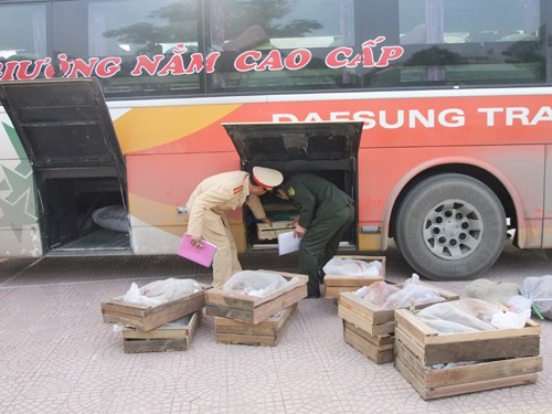 Động vật hoang dã 'đi' ôtô khách Động vật hoang dã 'đi' ôtô khách