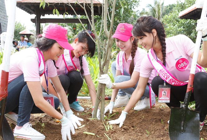 'Đại sứ xanh' trên đỉnh Bà Nà 'Đại sứ xanh' trên đỉnh Bà Nà