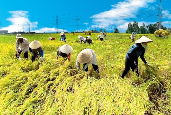 Hà Nội : Tôn vinh ca khúc về 'tam nông' Hà Nội : Tôn vinh ca khúc về 'tam nông'