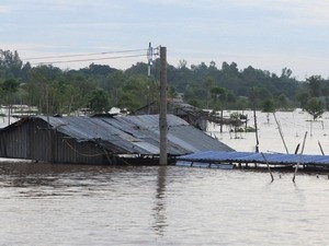 Không để người dân, trẻ em thiệt mạng vì lũ lụt Không để người dân, trẻ em thiệt mạng vì lũ lụt