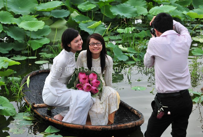 Xao xuyến với sen đầu mùa Xao xuyến với sen đầu mùa