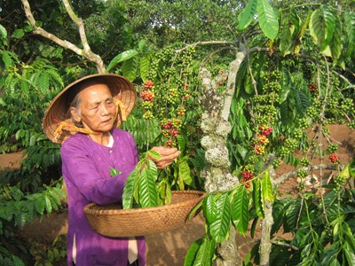 80 tuổi nuôi ba cháu nhỏ 80 tuổi nuôi ba cháu nhỏ