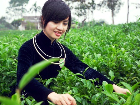 Hướng dẫn làm Hồ sơ dự thi Người đẹp xứ Trà Hướng dẫn làm Hồ sơ dự thi Người đẹp xứ Trà