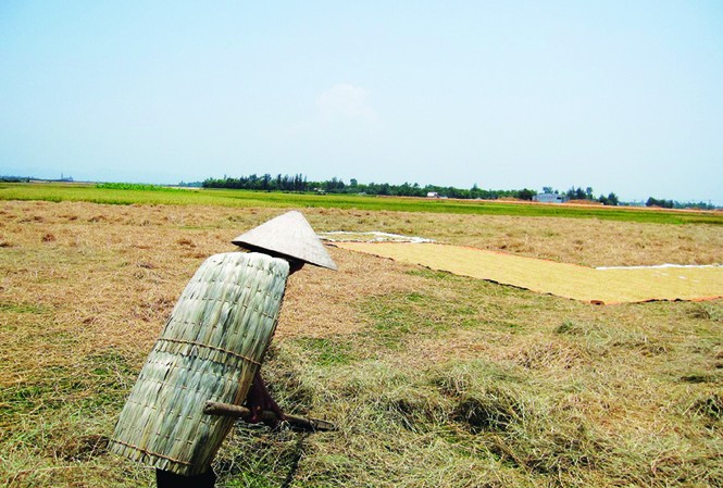 Những mảnh đời trong nắng Những mảnh đời trong nắng