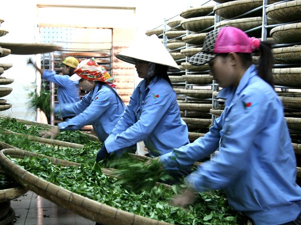 Doanh nghiệp FDI: Vẫn chuyển giá, trốn thuế Doanh nghiệp FDI: Vẫn chuyển giá, trốn thuế