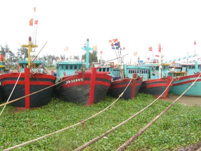 Bão số 2 liên tục đảo hướng, khó lường Tàu, thuyền vào bờ trú ẩn