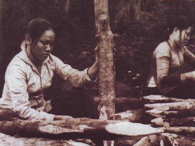 Truông Bồn, huyền thoại và tri ân Truông Bồn, huyền thoại và tri ân