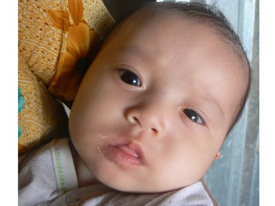 Cả nhà bị bệnh hành hạ Cả nhà bị bệnh hành hạ