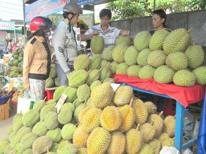 Nhúng hóa chất sầu riêng, thương lái ngoại bị trục xuất Nhúng hóa chất sầu riêng, thương lái ngoại bị trục xuất