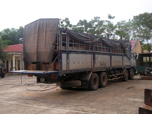 Bắt vụ vận chuyển 30 m3 gỗ lậu Bắt vụ vận chuyển 30 m3 gỗ lậu