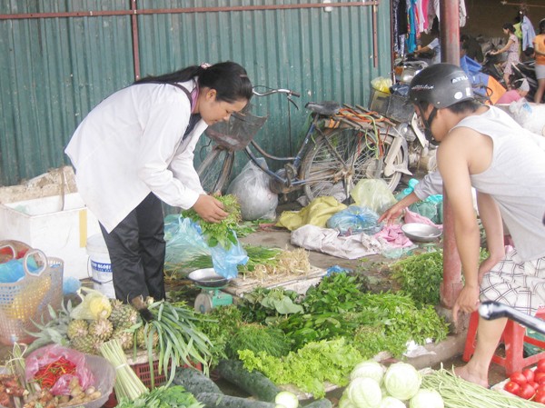 Kiểm tra formol trong cải thảo nhập từ Trung Quốc Kiểm tra formol trong cải thảo nhập từ Trung Quốc